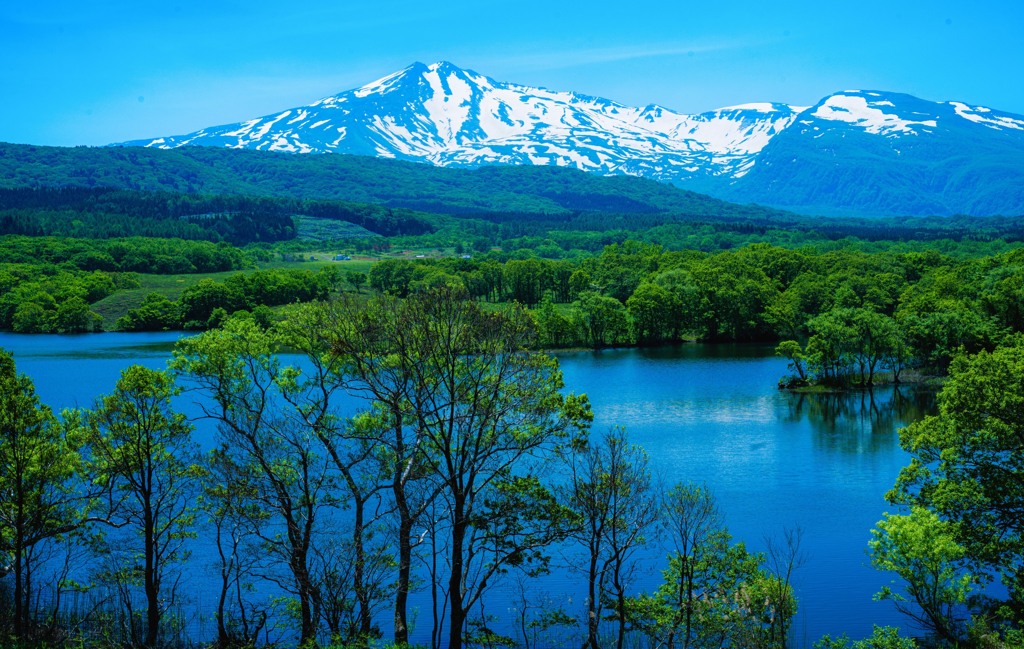 冬師湿原からの鳥海山