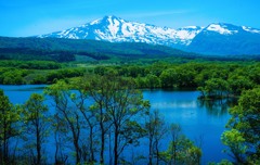 冬師湿原からの鳥海山