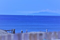 少年の夏・・思い出