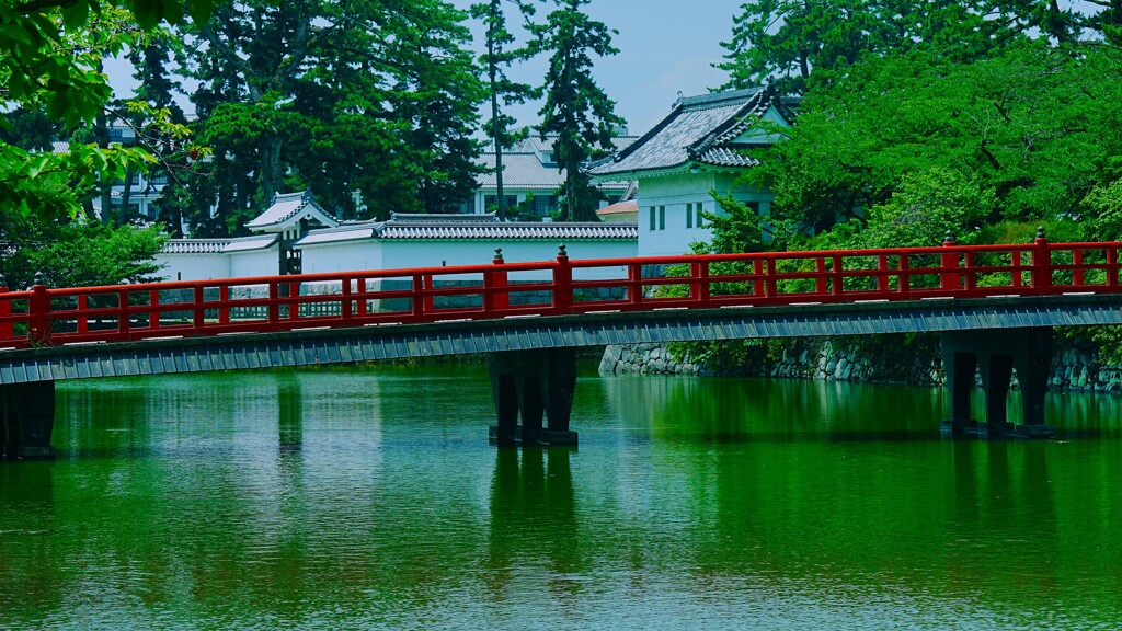 小田原城お堀端