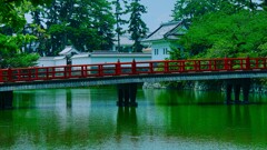 小田原城お堀端