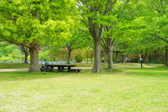 静かな里山公園
