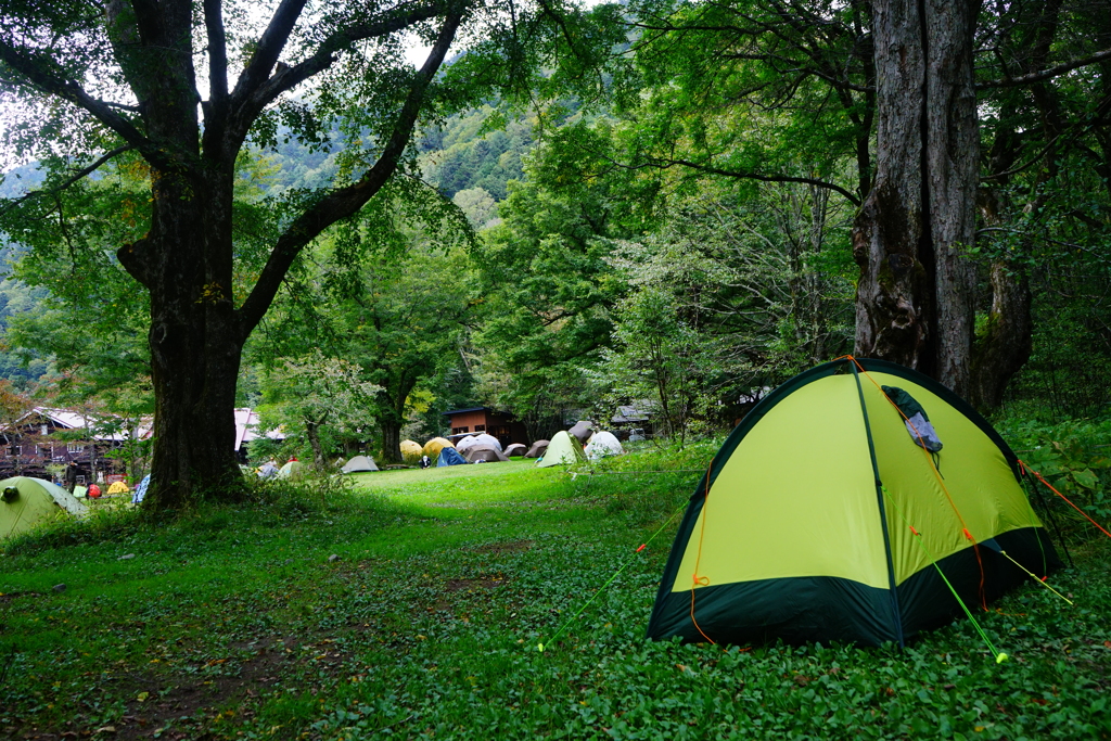 余談ですが・・