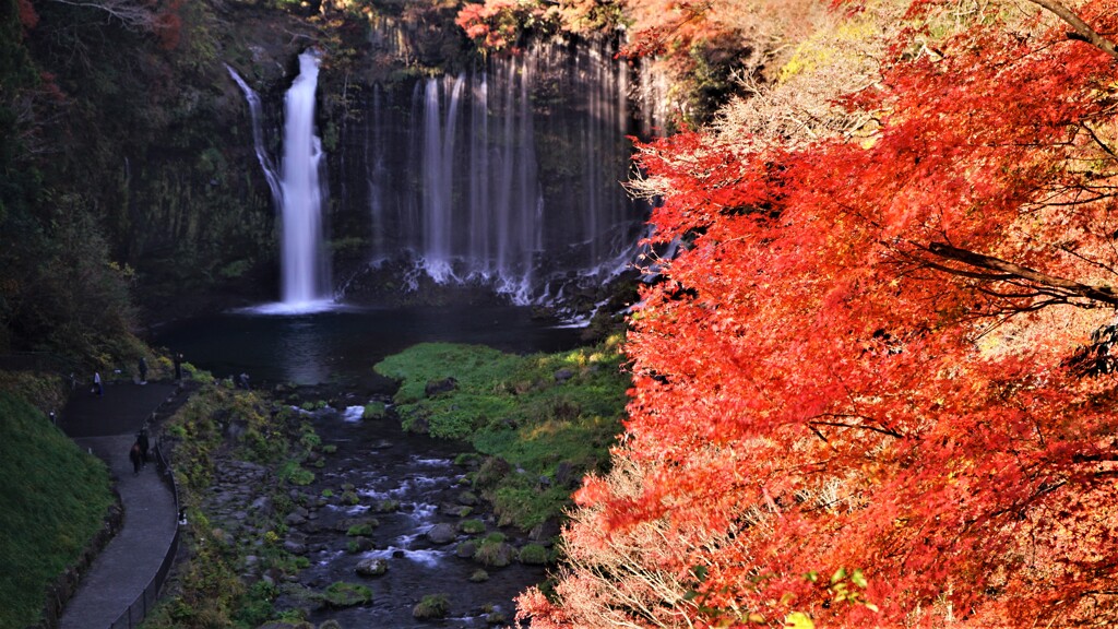 晩秋　白糸の滝
