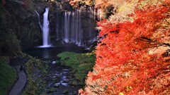 晩秋　白糸の滝