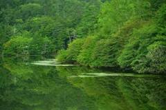 晩夏　白駒池　３