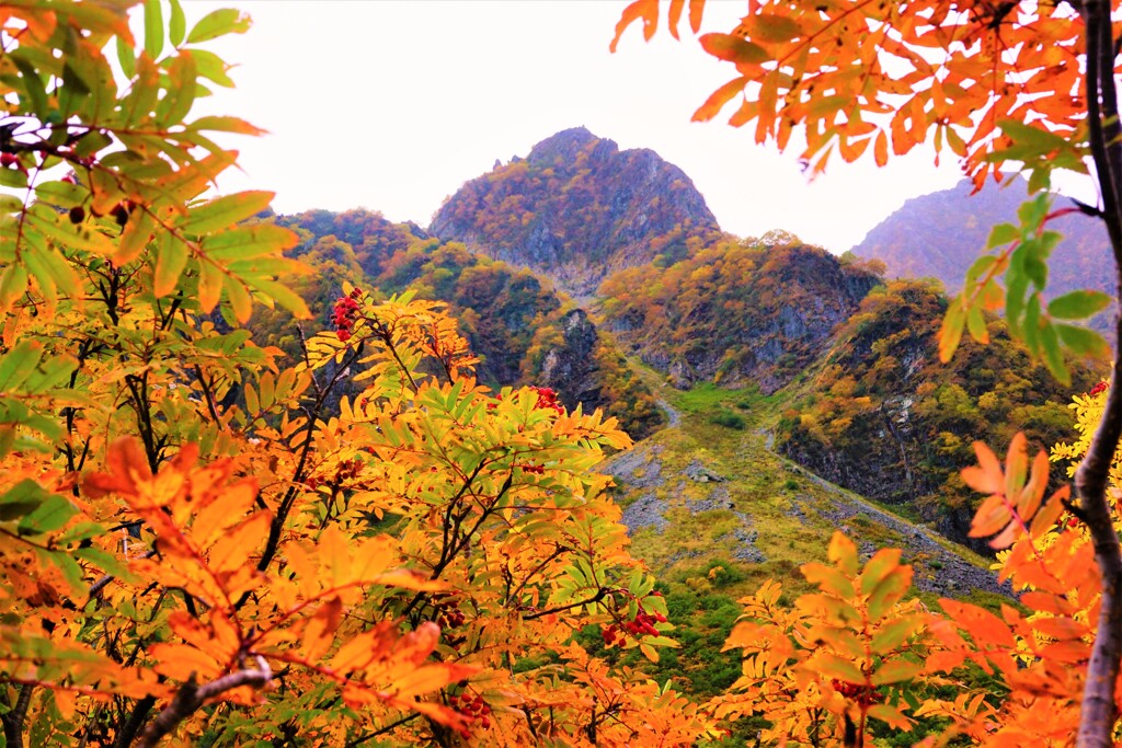 涸沢・紅葉　７