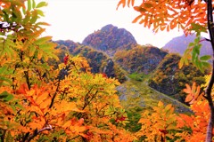 涸沢・紅葉　７