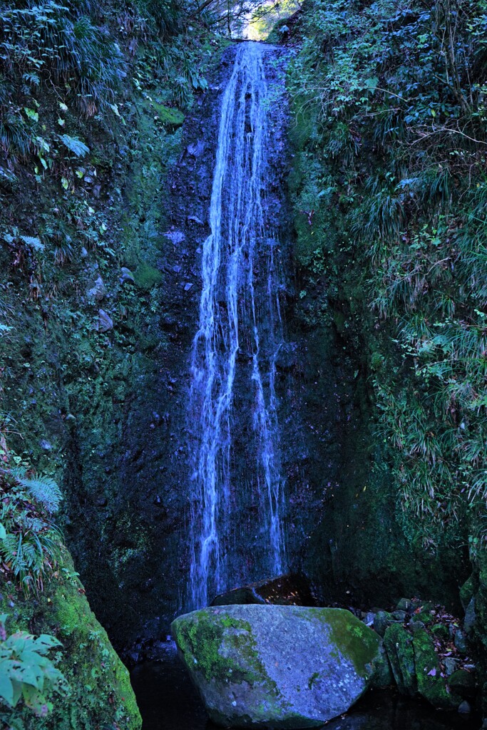 箱根　蛙（かわず）の滝