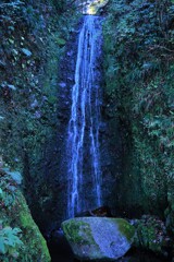 箱根　蛙（かわず）の滝
