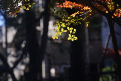小さな光