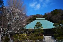 鎌倉　浄妙寺