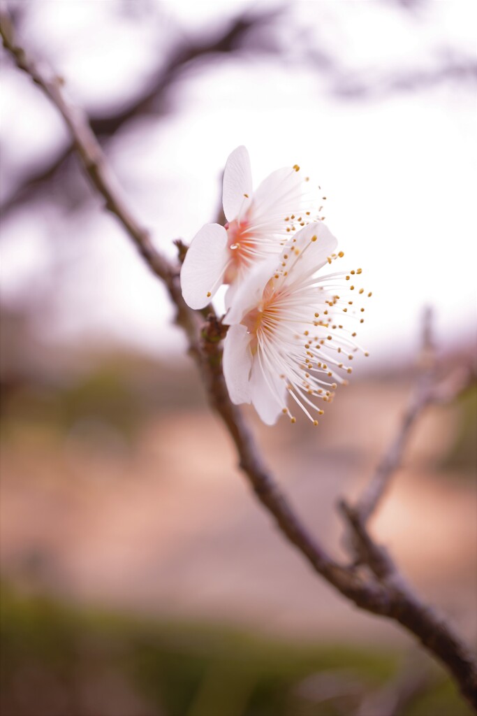 やさしく寄り添う