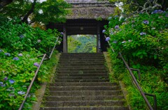 東慶寺山門