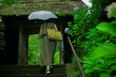 6月　 山門をくぐる