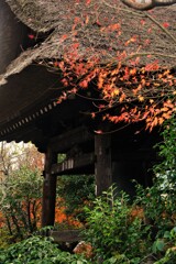 北鎌倉・東慶寺　鐘楼