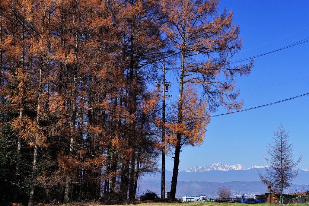 晩秋・・原村　Ⅰ