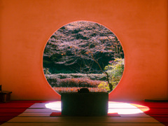 冬の足音　明月院　２