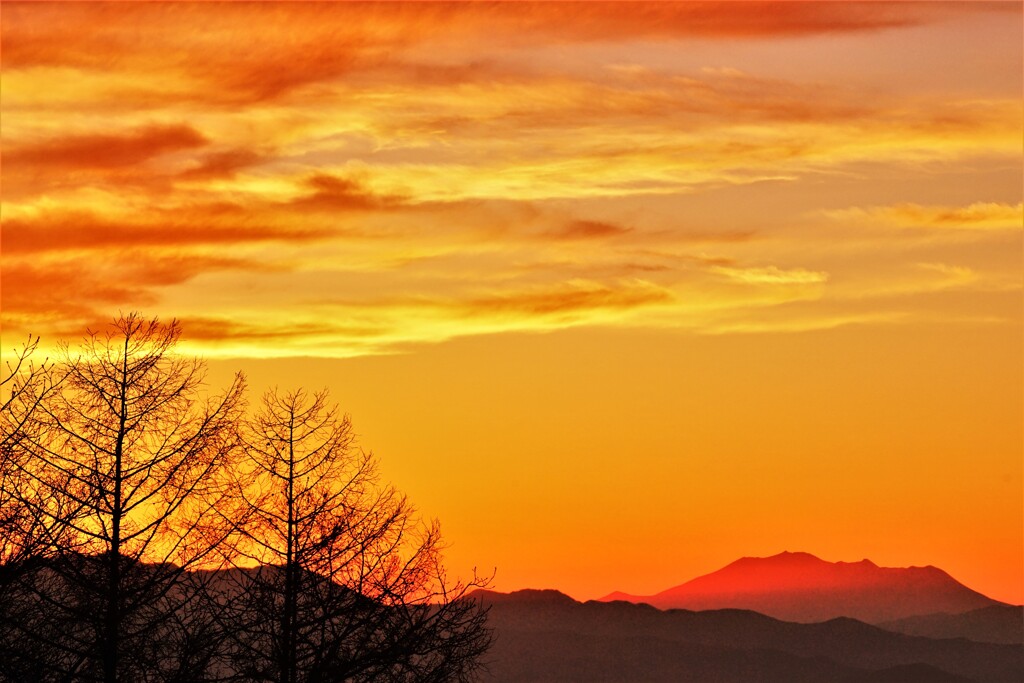 蓼科高原の夕景