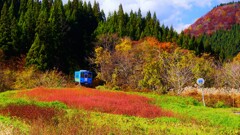 晩秋の日差しをうけて