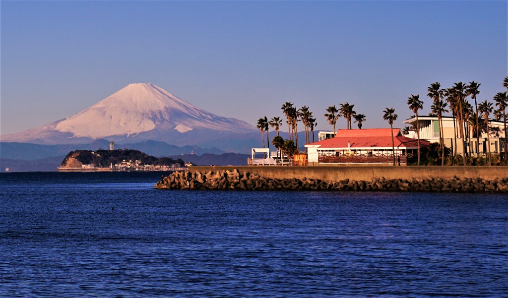 逗子マリーナの朝