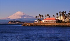 逗子マリーナの朝