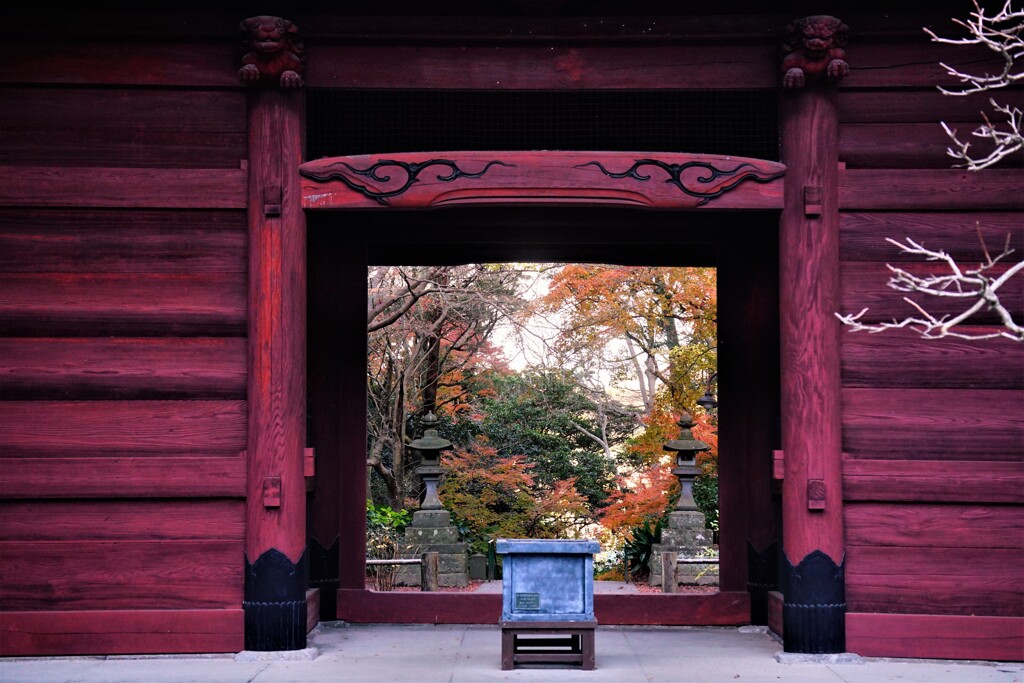 鎌倉・妙本寺山門