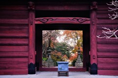 鎌倉・妙本寺山門