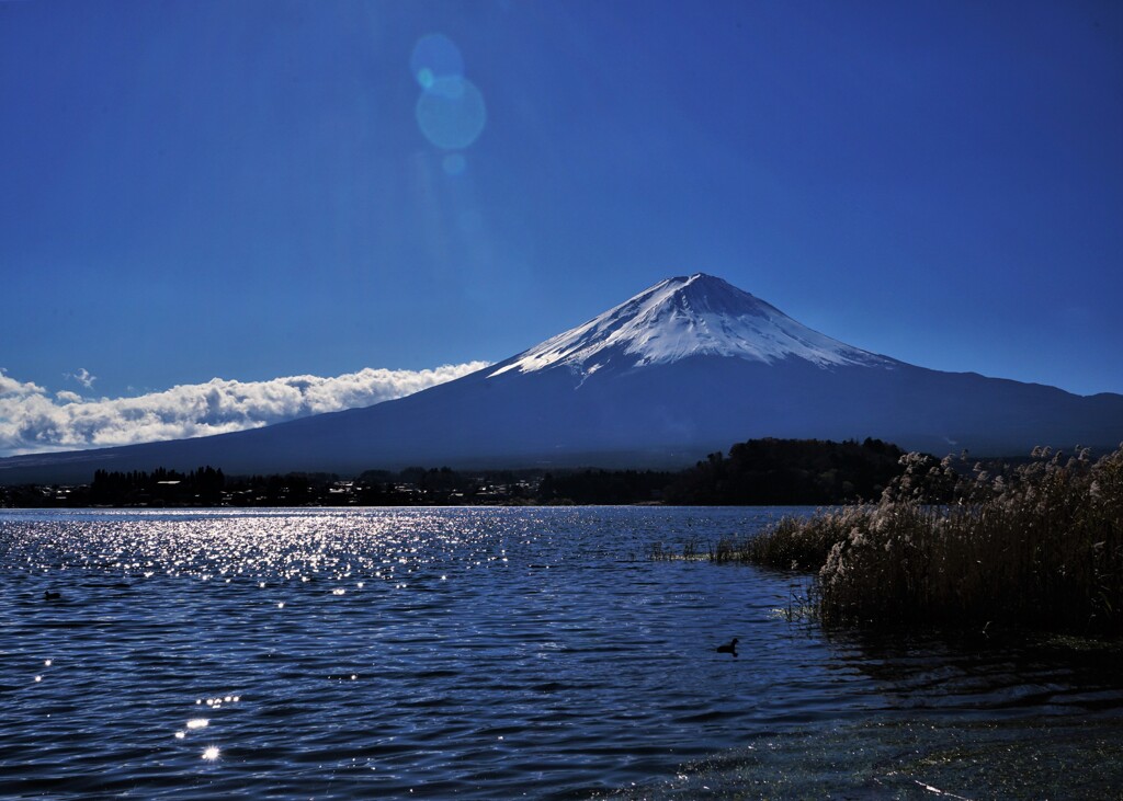 水面のかがやき
