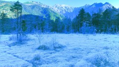 田代湿原