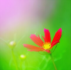 やさしく微笑んで