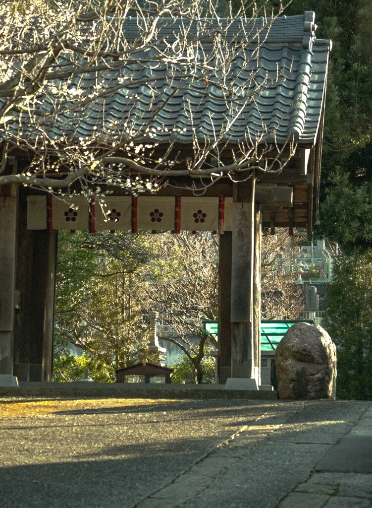 山門