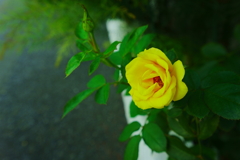 帰り道