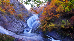 桃洞の滝　