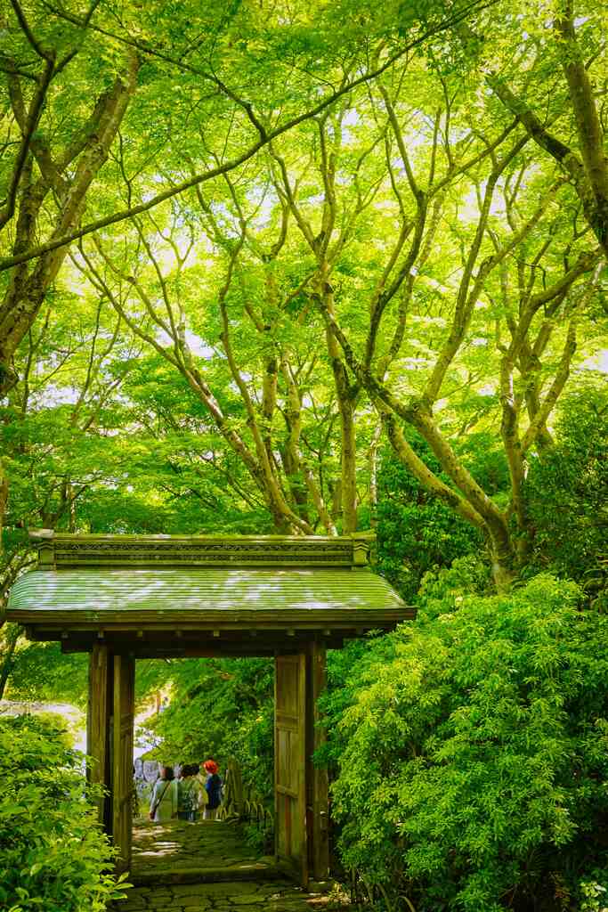 緑の門