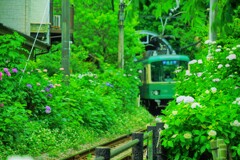 江ノ電　御霊神社前
