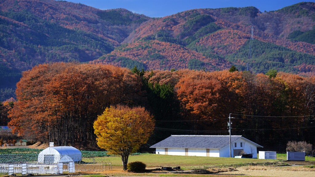 晩秋・・原村　Ⅲ