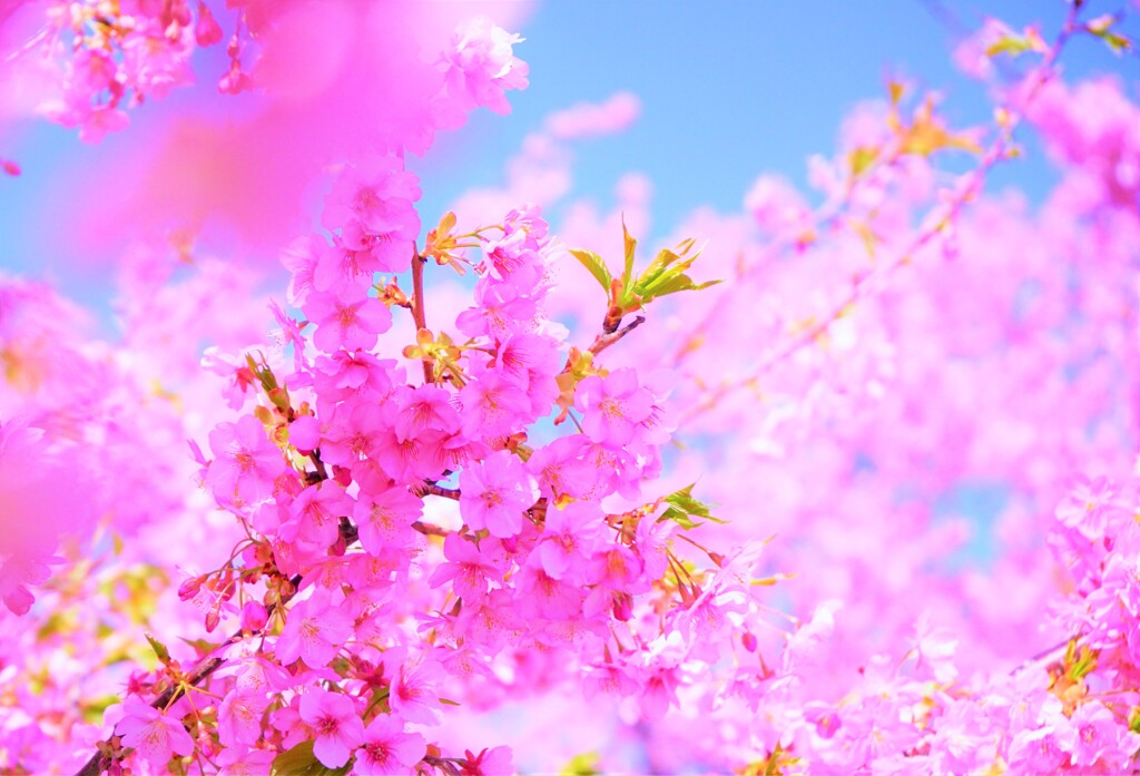 やさしさに包まれて