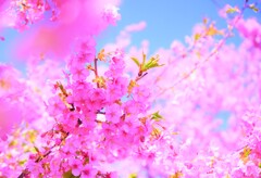 やさしさに包まれて