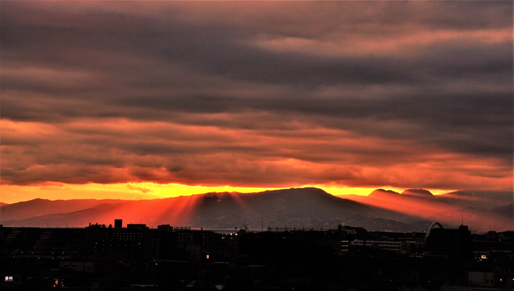 紅（くれない）の天使