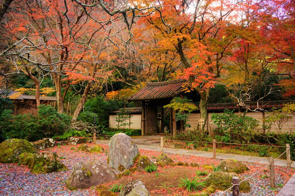 鎌倉・瑞泉寺山門