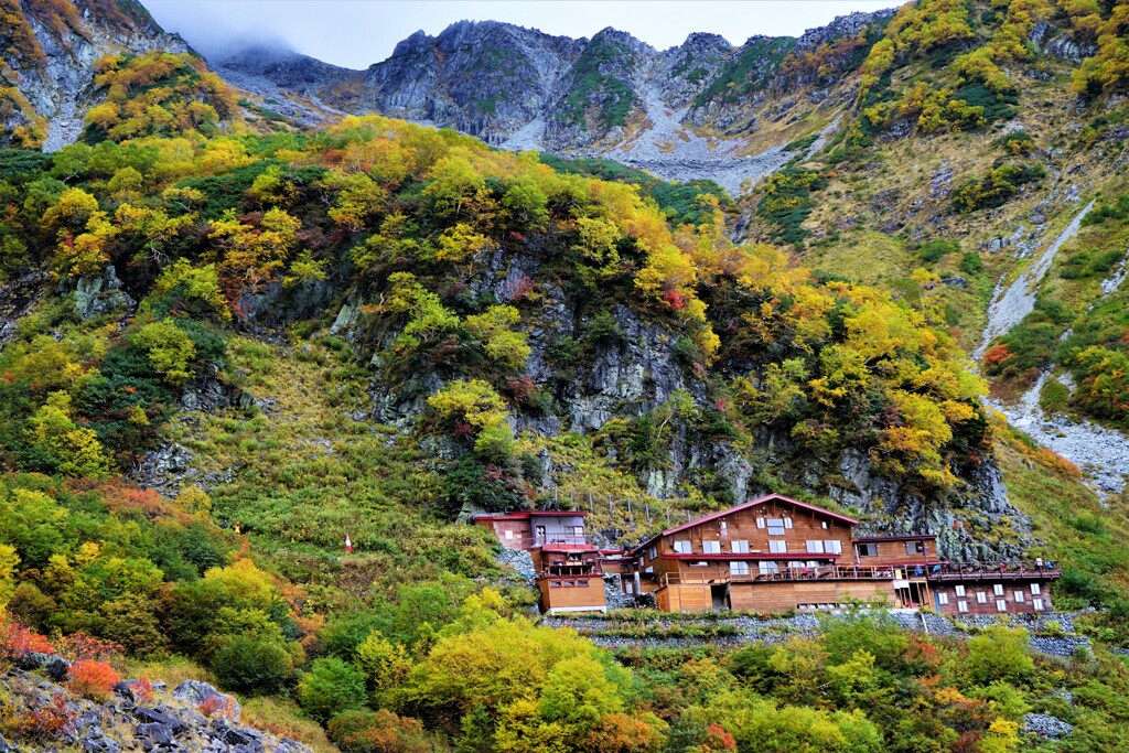 紅葉に包まれて