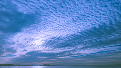 秋雲