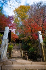 鎌倉杉本寺山門