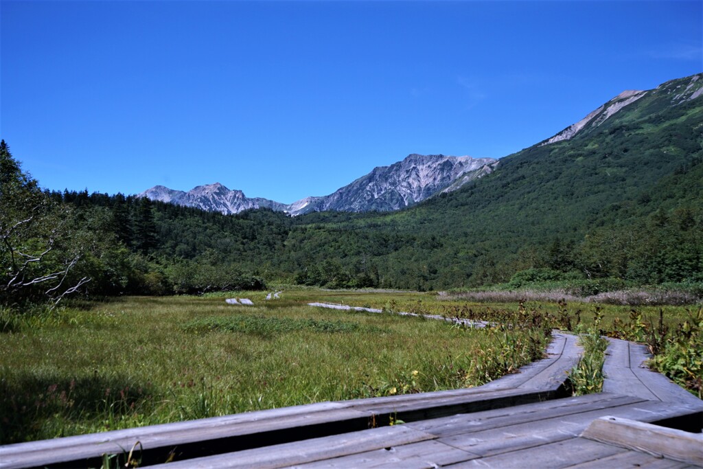 白馬・栂池自然園　2019.9