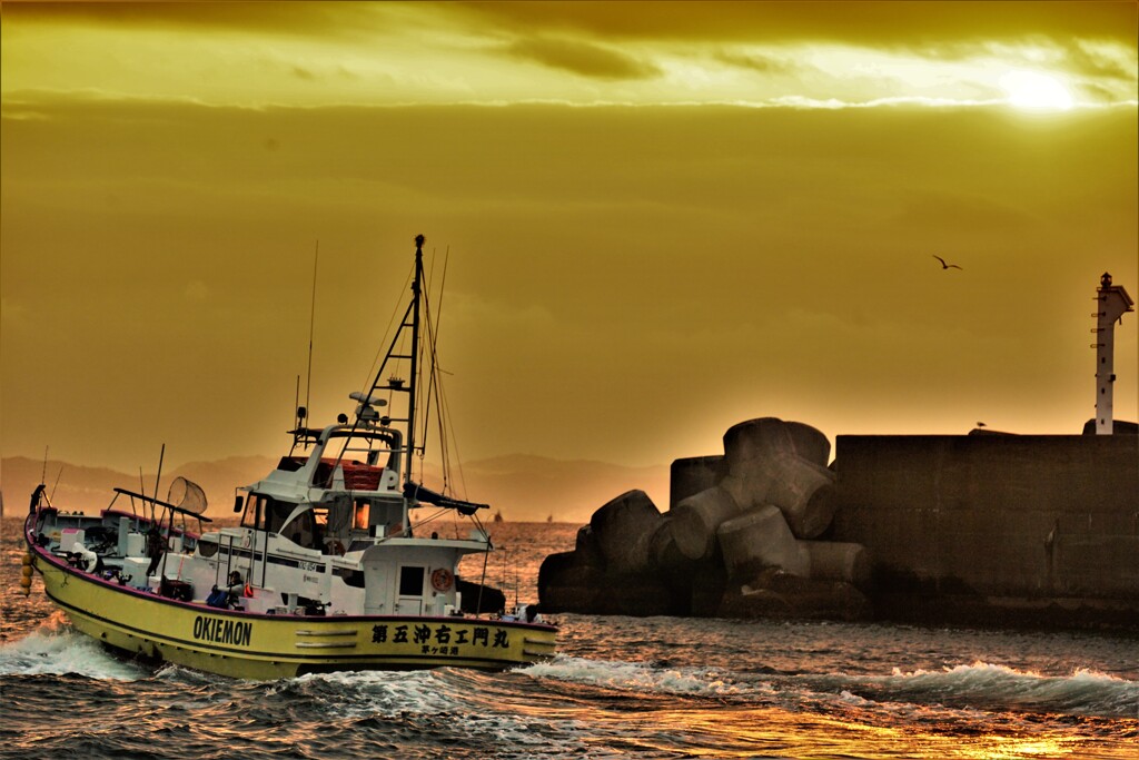 今日は釣れるかな