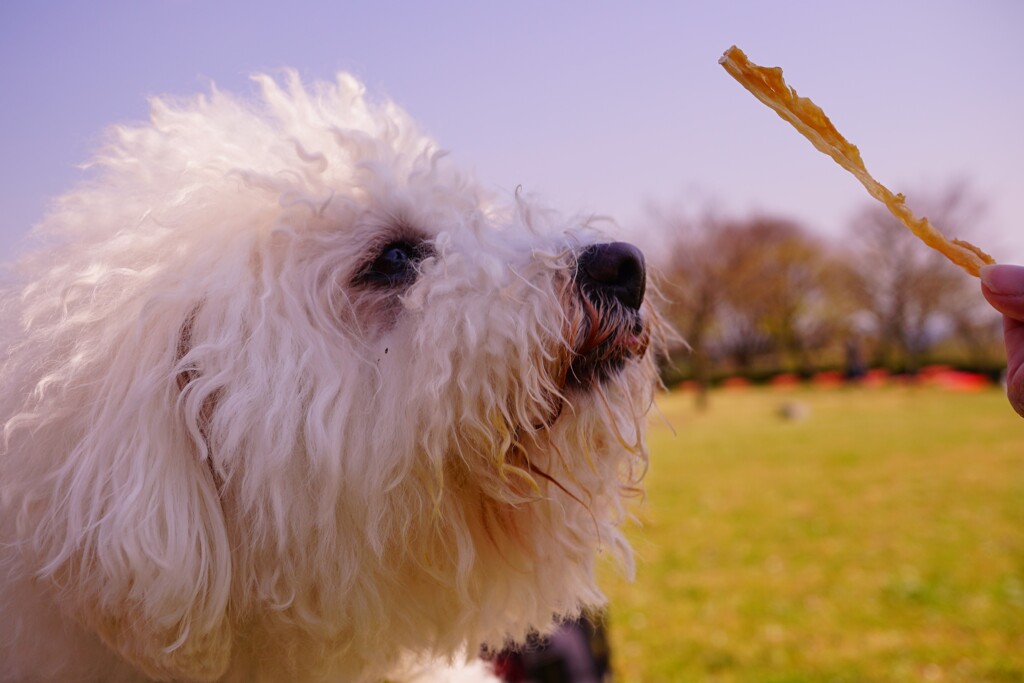 おやつの時間ですよ(^^)