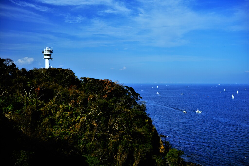 浦賀水道