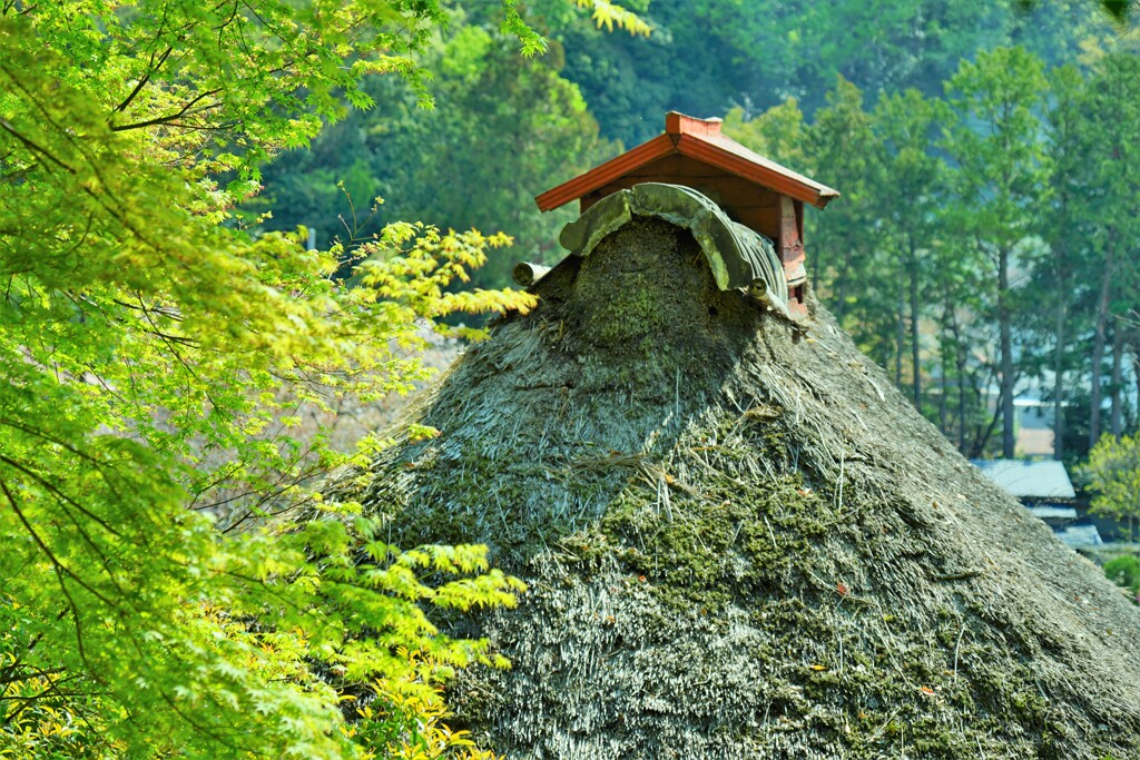 里山散策