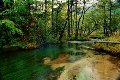 上高地・田代池